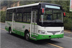 少林SLG6660EVG3公交车（纯电动10-22座）