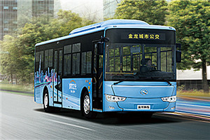 金龙城市之光XMQ6119公交车