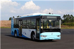 大运CGC6101BEV1K2公交车（纯电动17-36座）