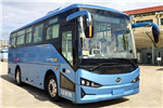 比亚迪BYD6810C4EV1公交车（纯电动24-34座）