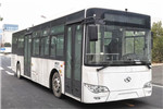 金龙XMQ6106BCBEVL客车（纯电动24-37座）