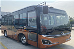 金龙XMQ6601WGBEVL公交车（纯电动10-19座）