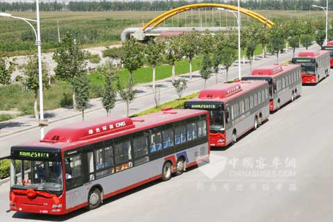 石家庄公交在国庆节前购置的六百部天然气公交车